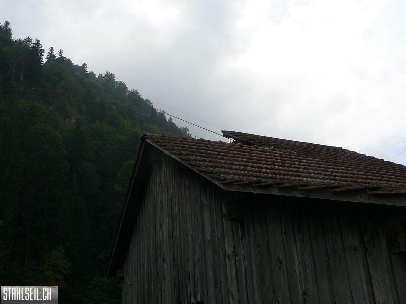 k-P1750217.JPG