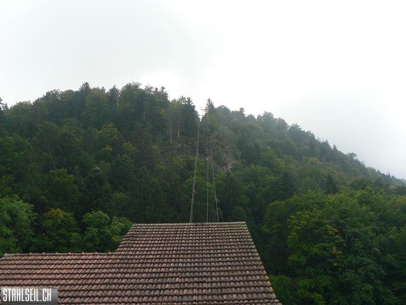 k-P1750219.JPG