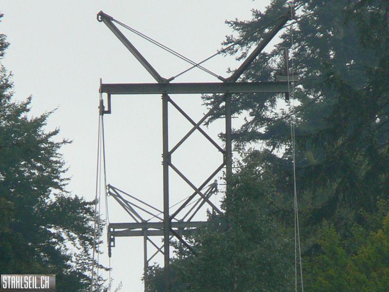 k-P1750221.JPG