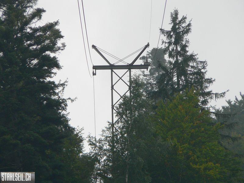 k-P1750224.JPG