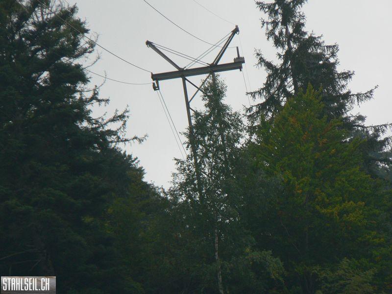 k-P1750227.JPG