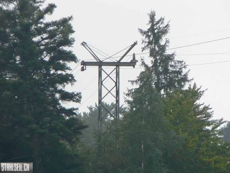 k-P1750231.JPG