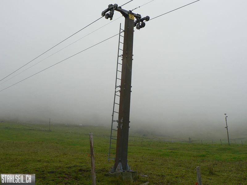 k-P1750254.JPG