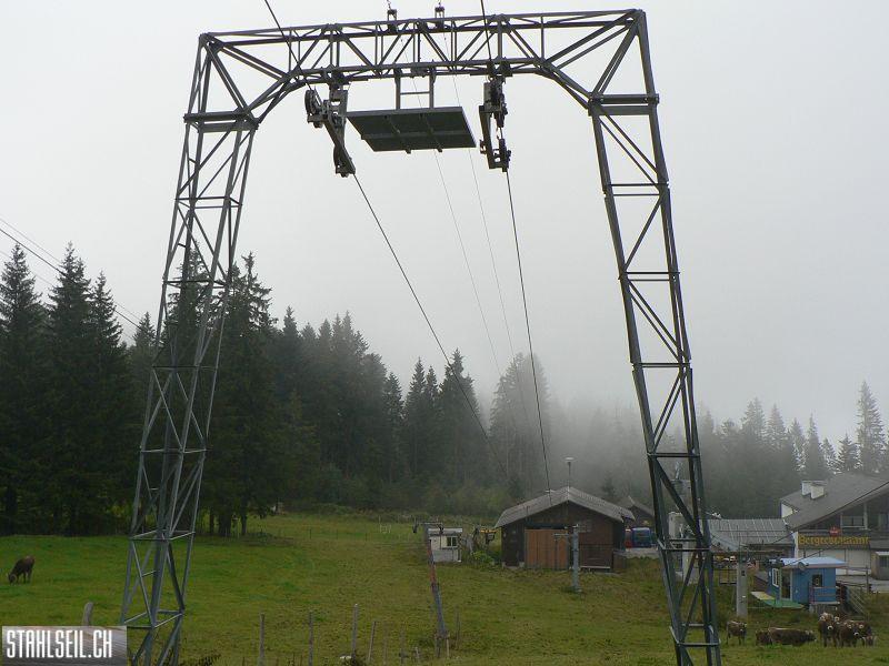 k-P1750255.JPG