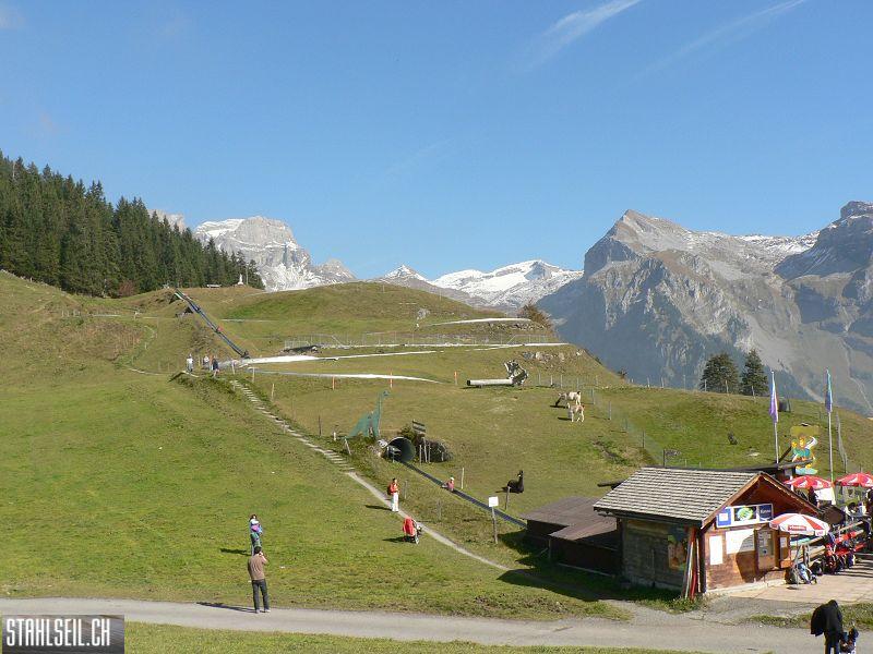 k-P1760835.JPG