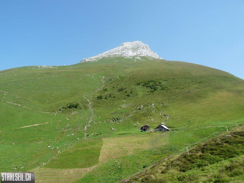 k-P1180420.JPG