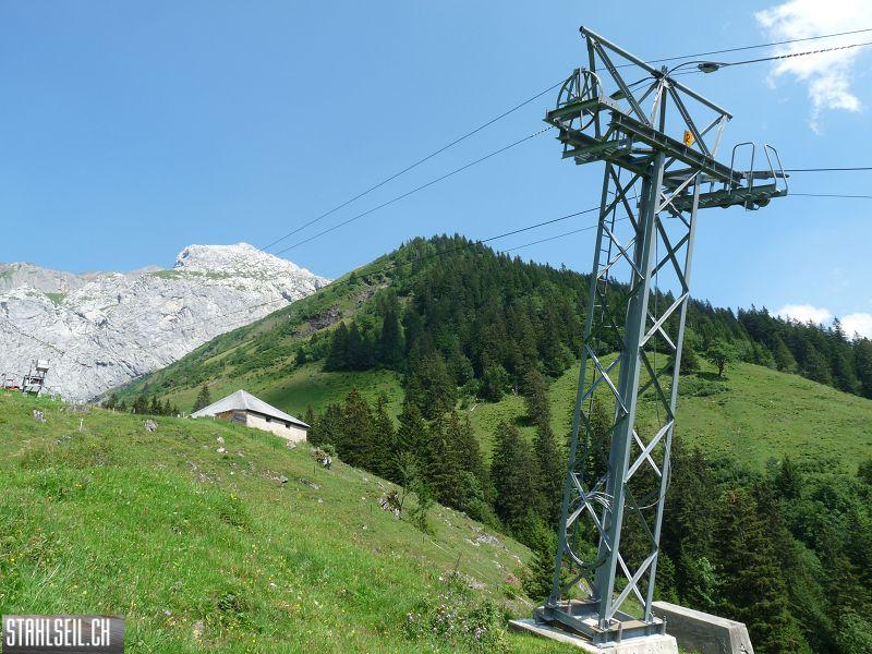 k-P1180492.JPG