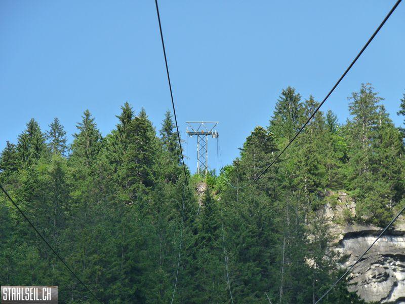 k-P1180524.JPG