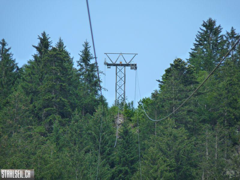 k-P1180525.JPG