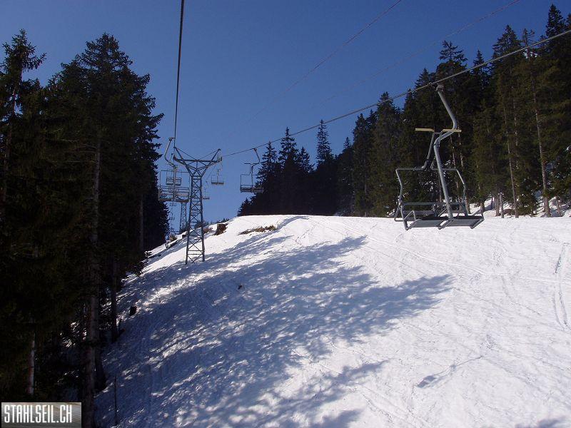 k-P3200142.JPG
