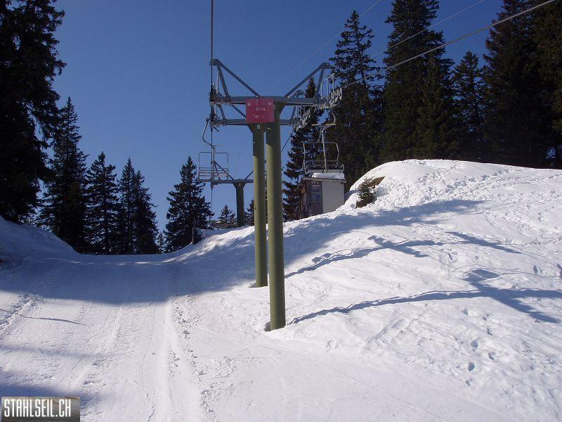 k-P3200157.JPG