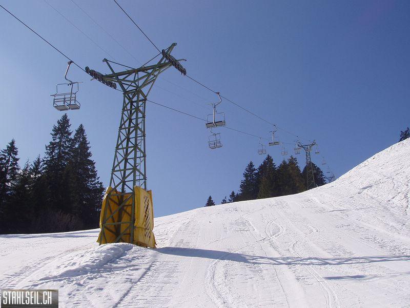 k-P3200177.JPG