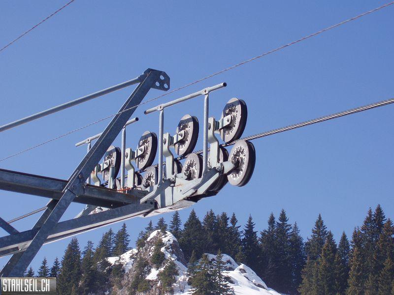 k-P3200191.JPG