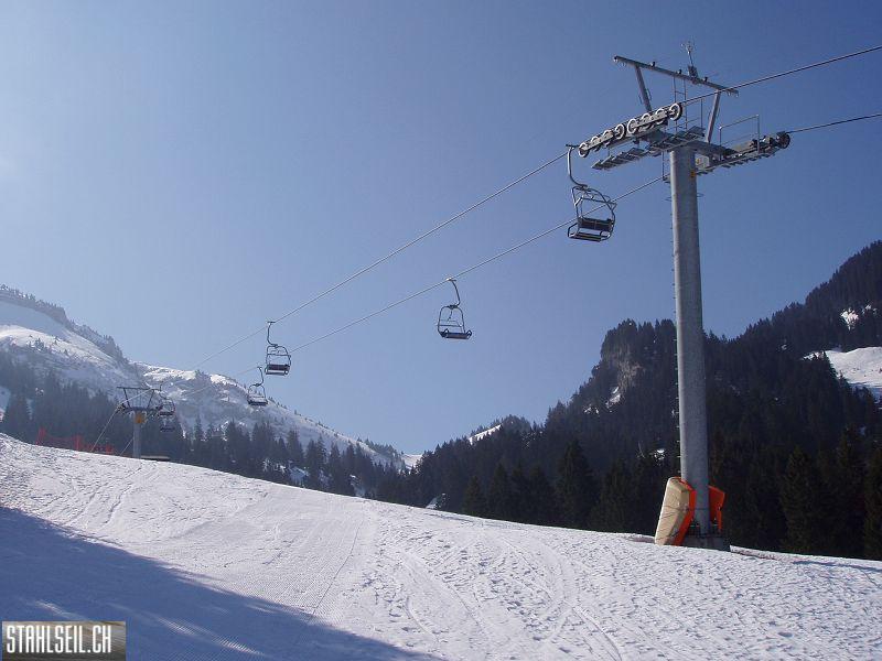 k-P3200278.JPG
