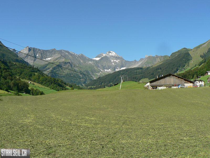 k-P1370451.JPG