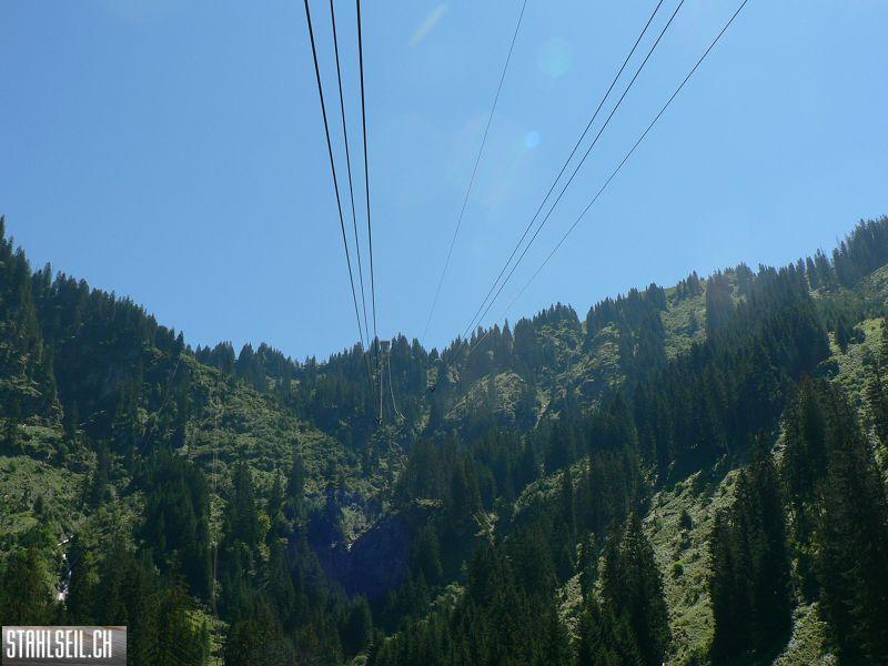 k-P1370885.JPG