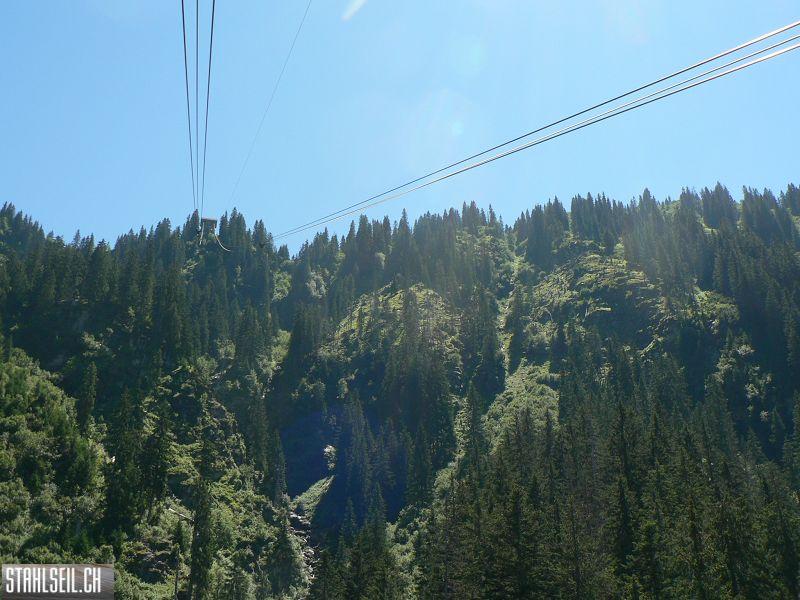 k-P1370895.JPG