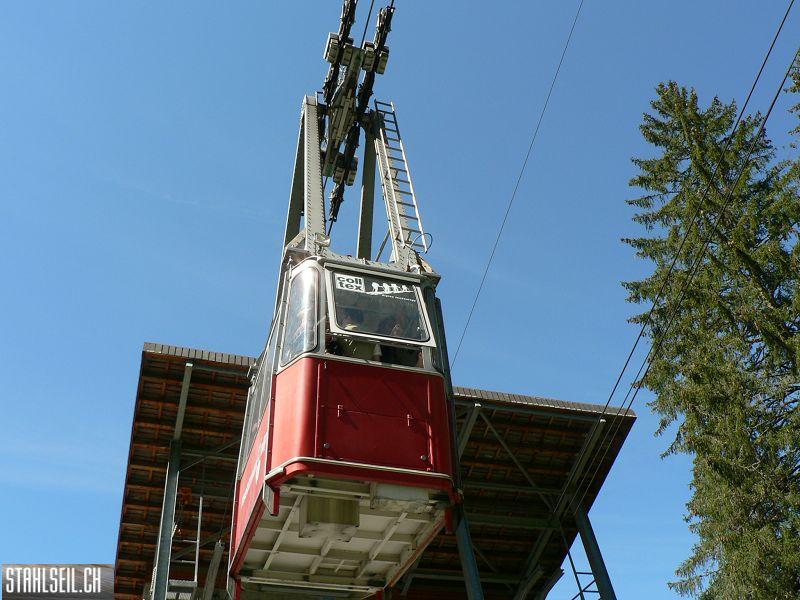 k-P1380016.JPG