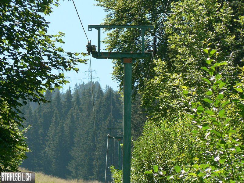 k-P1380888.JPG