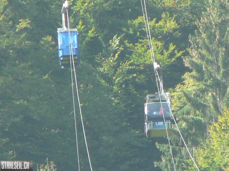 k-P1140444.JPG