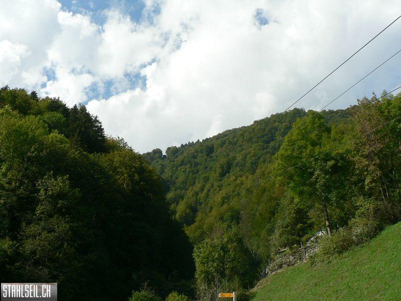 k-P1140469.JPG