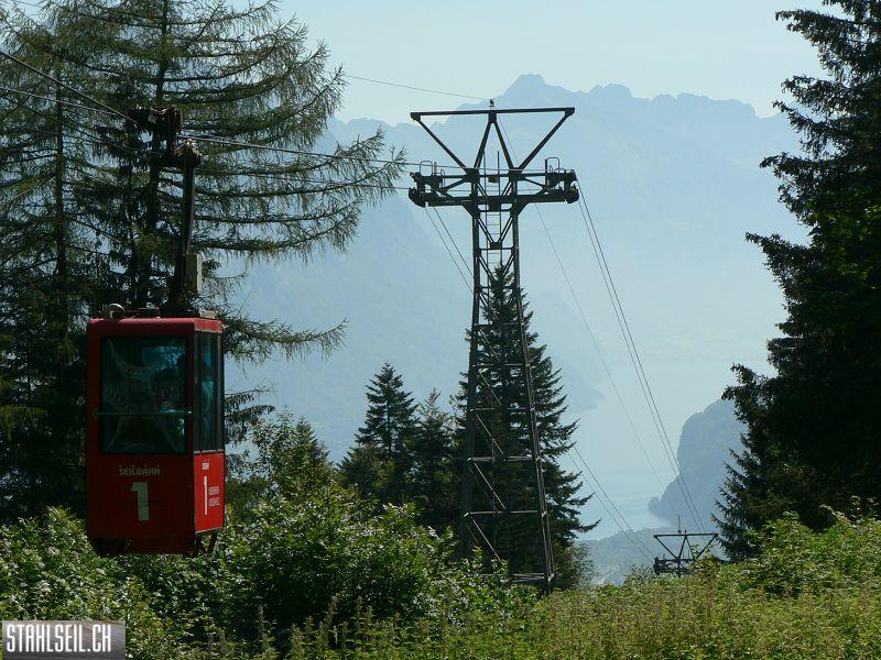 k-P1380785.JPG