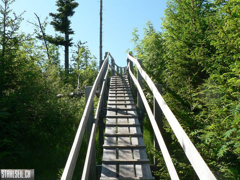 k-P1700650.JPG
