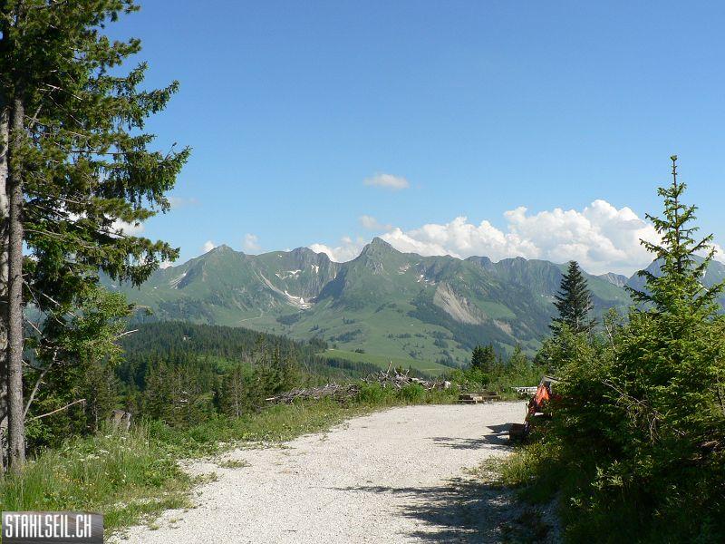 k-P1700659.JPG