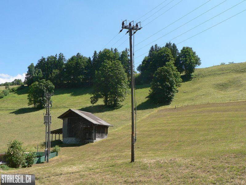 k-P1700513.JPG