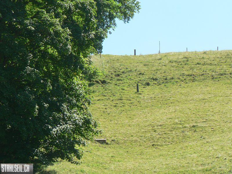 k-P1700517.JPG