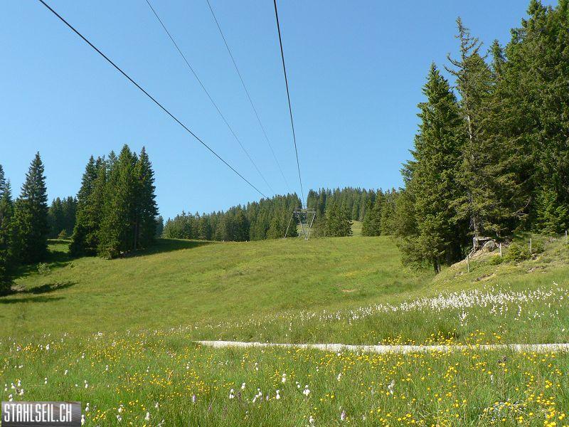 k-P1700621.JPG