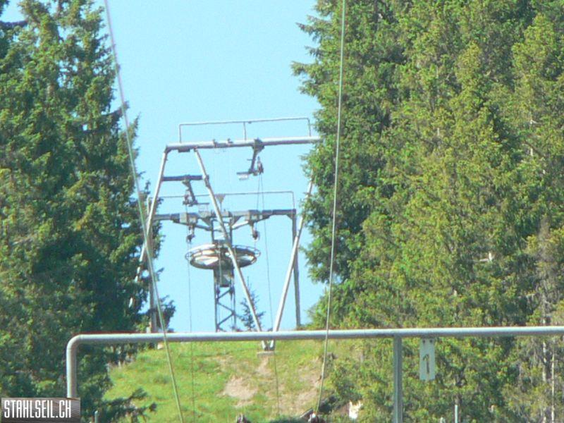 k-P1700624.JPG