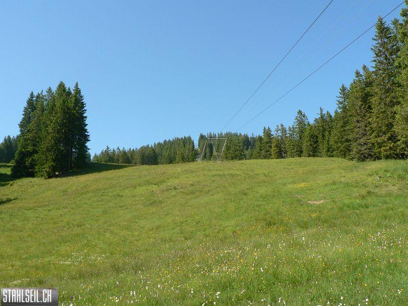 k-P1700642.JPG