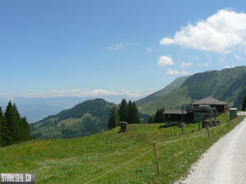 k-P1700361.JPG