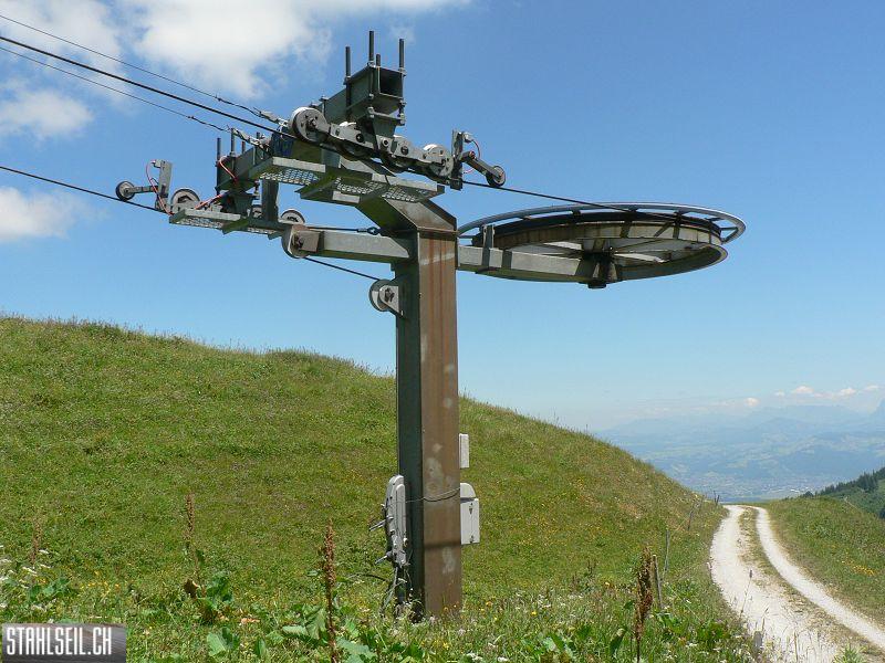k-P1700390.JPG