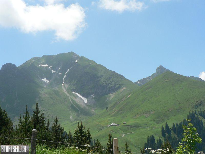 k-P1700427.JPG