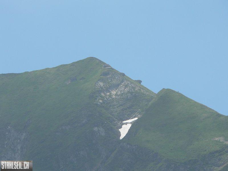 k-P1700428.JPG