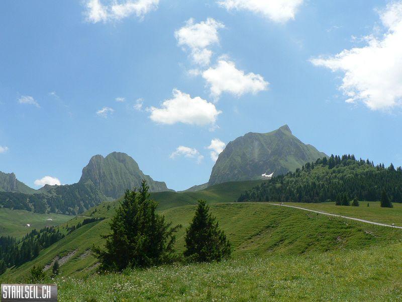 k-P1700431.JPG