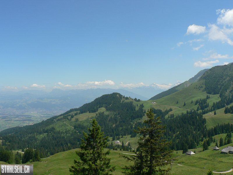 k-P1700435.JPG