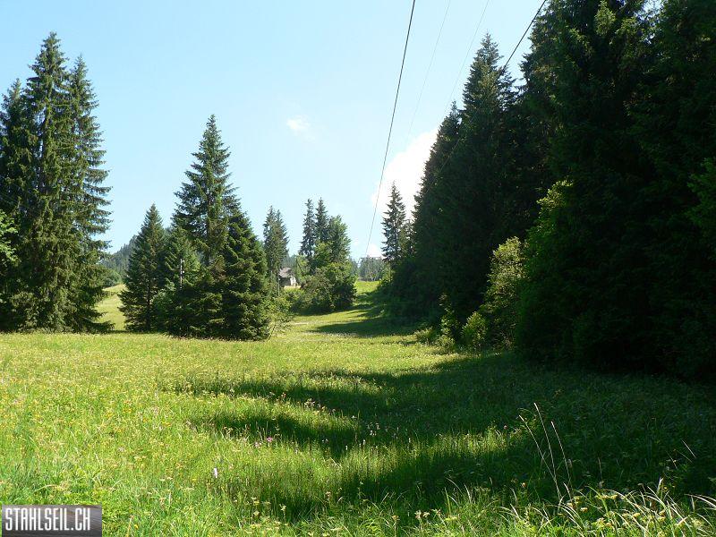 k-P1700538.JPG