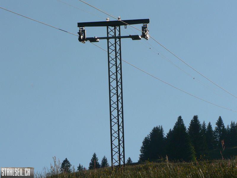 k-P1700755.JPG