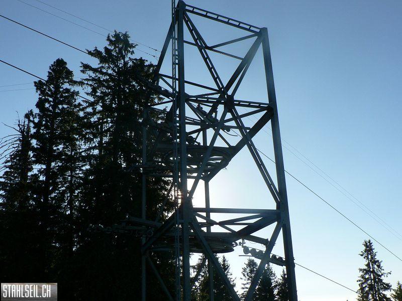 k-P1700801.JPG