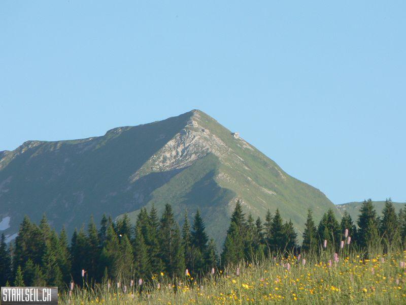 k-P1700821.JPG