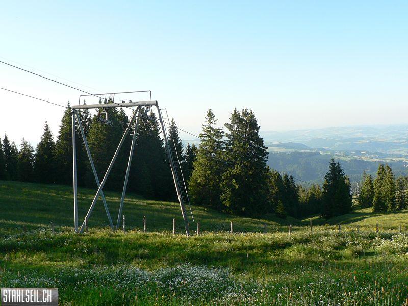 k-P1700826.JPG