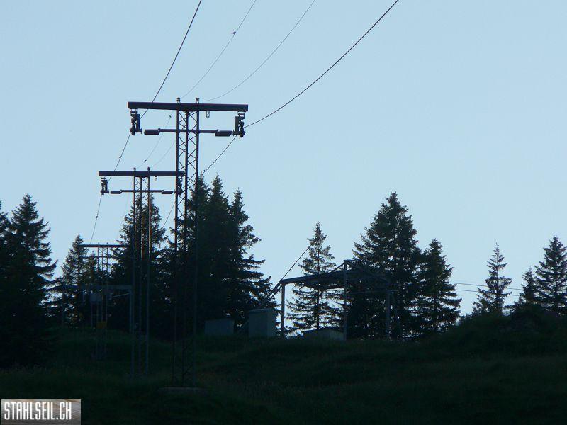 k-P1700873.JPG