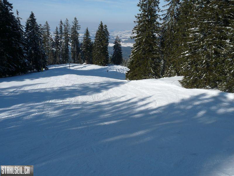 k-P1050796.JPG