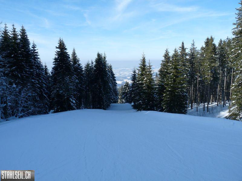 k-P1050883.JPG
