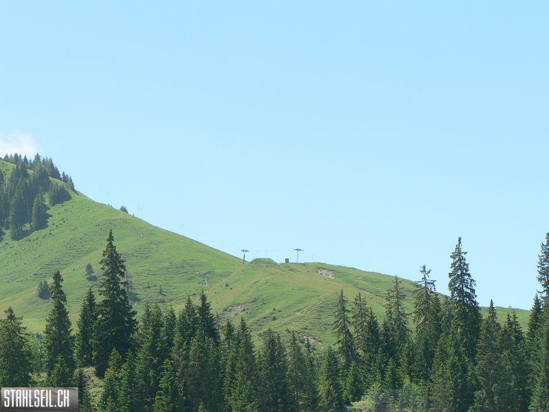 k-P1700440.JPG