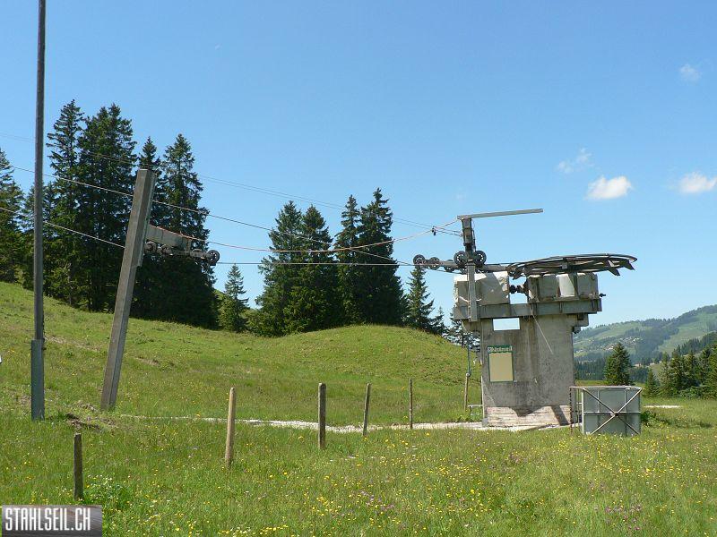 k-P1700441.JPG