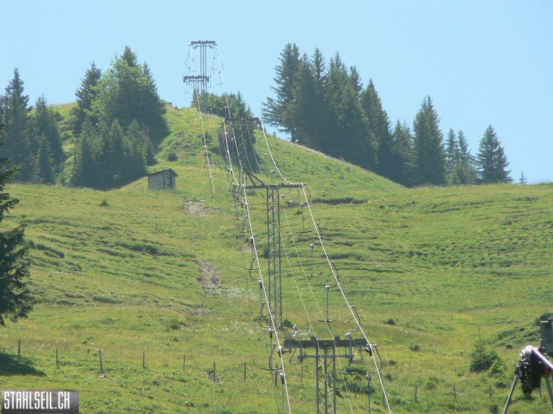 k-P1700445.JPG